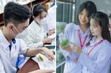 Ngành học được miễn phí 100% năm 2025, có ngành được trợ cấp 3,63 triệu đồng/tháng: Ai đỗ đạt thật đáng mừng