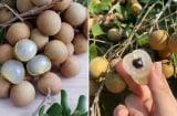Nhãn thơm ngọt nhưng có 4 nhóm người không nên ăn, thích mấy cũng phải tránh