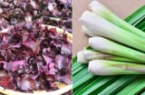 Nấu nước lá tía tô thêm vài nhánh sả, cơ thể nhận được 7 lợi ích tuyệt vời này