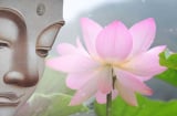 Phật dạy, gia đình chỉ cần có thứ này sẽ ngày càng thịnh vượng, phúc khí tràn trề