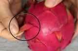 Ra chợ thấy thanh long có điểm này thỏa mái mua về, không lo ủ thuốc