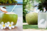 Uống nước dừa mùa nắng nóng: Uống nhiều có tốt không?