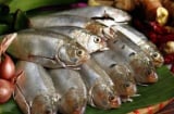 7 loại cá phải mua ngay nếu bắt gặp ở chợ: Dinh dưỡng ngang nhân sâm, rẻ hơn tổ yến, không chứa hóa chất