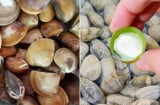 Ngâm ngao đừng dùng nước lã, thêm vài giọt này, ngao nhả cát cực nhanh