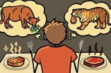 Con người thường ăn động vật ăn cỏ: Vậy nếu ăn động vật ăn thịt thì sao?