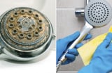Mẹo làm sạch vòi sen đóng cặn bẩn: Đem ngâm trong thứ nước này là sạch như mới