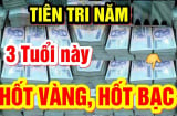 100 ngày tới: Lộ diện 3 con giáp Đếm Tiền Mệt Nghỉ, chấm hết nghèo nàn