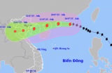 Cập nhật mới nhất: Bão số 3 Wipha mạnh lên có thể giật cấp 15, dự báo tình trạng bão ngày 21-22/7