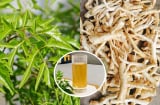 Tác dụng của nước rễ đinh lăng: Có 3 nhóm người không nên sử dụng
