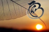 4 bí quyết giúp bạn sống tự tại, không buồn, không giận, chẳng lo âu