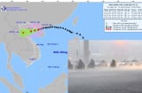 Khẩn cấp ứng phó và bảo vệ an toàn bão số 3 Wipha