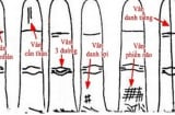 Ngón áp út có 1 trong 5 dấu hiệu này, đàn ông hay đàn bà đều mang số mệnh giàu sang, sung túc