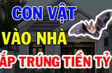 4 con vật Đệ Tử Thần Tài, vào nhà mang theo Tiền của, chớ dại mà xua đuổi