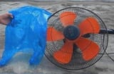 Mẹo vệ sinh quạt sạch bóng chỉ với 1 túi nilon – Không cần tháo lồng, không tốn sức