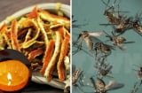 Đốt thứ 'bỏ đi' này lên: Muỗi hàng đàn cũng bay xa, không cần dùng hoá chất độc hại