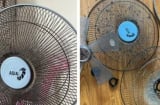 Mẹo vệ sinh quạt sạch bong chỉ trong 1 phút, không cần tháo lắp, ai cũng làm được