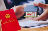Quá hạn 3 mốc thời gian này sẽ không thể Sang Tên Sổ Đỏ, còn bị phạt tiền tới 20 triệu đồng