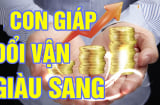 Lộc Lá Về Muộn sau tuổi 40, 3 con giáp Tiền Đẻ Ra Tiền, dư dả ăn tiêu
