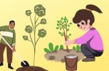 Trồng 5 loại cây ăn quả này trong nhà: Tốt phong thủy, Tăng Sức khỏe,Hoa đẹp quả ngon, trồng ngay kẻo tiếc