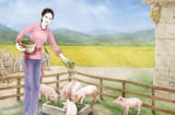 Các cụ nói: 'Mua lợn xem chuồng, cưới vợ xem sân', ý nghĩa là gì?