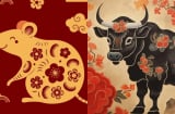 Tháng nhuận 6 âm lịch: Sao xấu chiếu mệnh, 4 con giáp gặp khó khăn công việc, tài chính lao đao