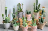 3 đồ vật này đừng bày ở cửa hàng kẻo việc làm ăn buôn bán lụn bại