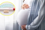 Lần đầu tiên tại Việt Nam: Từ 1/10/2025, phụ nữ độc thân có quyền sinh con bằng thụ tinh trong ống nghiệm