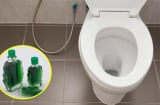 Tại sao nên nhỏ vài giọt dầu gió vào bồn cầu? Có lợi ích tuyệt vời mà nhiều người không biết