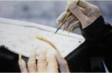 Vì sao con cháu quý tộc nhà Thanh, nhất là đàn ông lại nuôi móng tay dài?