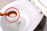 Đổ muối vào bồn cầu: Bạn sẽ nhận được công dụng tuyệt vời nhà nào cũng cần