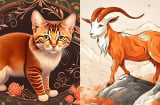 3 con giáp: Chuyển mình vào tháng 8, giàu có tháng 9, tháng 10 bội thực tài lộc