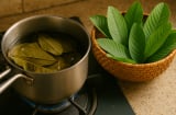 Cách uống nước lá ổi để giảm cân, giảm mỡ bụng: Bí quyết giản dị nhưng hiệu quả của nhiều phụ nữ Việt