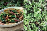 Loại rau mọc dại cho không ai lấy, giờ được săn lùng quý như 'thần dược' của sức khỏe