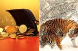 10 năm tới: 3 con giáp không phải lo cơm áo gạo tiền, mở đường tài lộc, trăm năm mới có 1 lần