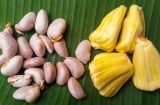 Hạt mít giàu dinh dưỡng: Ăn hạt mít, cơ thể nhận được 3 lợi ích tuyệt vời