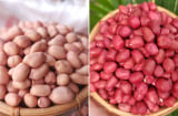 Lạc trắng và lạc đỏ, loại nào ngon hơn?