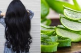 5 cách dùng nha đam cho tóc yếu, gãy rụng, giúp tóc con mọc ầm ầm