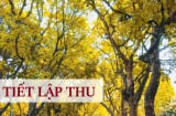 Chính thức bắt đầu Lập Thu từ 7/8, có 5 việc nên làm để thay đổi vận khí, rước tài lộc