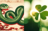 Sau tuổi 50: 3 con giáp tiền trong tài khoản rủ nhau lên đồng nhanh hơn giá vàng tang, giàu đến mãn kiếp