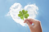 Người sinh vào 4 tháng Âm lịch này sẽ có cuộc đời rực rỡ, khiến nhiều người ngưỡng mộ. Bạn xem có mình không?