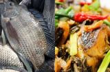 Loại cá vượt mặt cá hồi về protein và giá trị dinh dưỡng: Giá rất rẻ, chợ Việt nào cũng bán