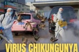 Chikungunya - Dịch bệnh WHO cảnh báo đang lan rộng toàn cầu nguy hiểm như thế nào?