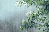 Vì sao mưa tháng 7 âm lịch được gọi là mưa ngâu?