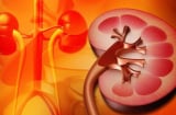 5 biểu hiện buổi tối cảnh báo Thận đang kêu cứu, đừng bỏ qua để phải chạy thận cả đời