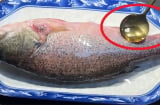 Rã đông cá đừng thả vào nước lạnh: Muốn nhanh, cá chắc thịt chỉ cần 1 bước này