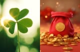 Tam Tai cũng phải sợ: 3 con giáp 10 năm tới ngồi cười đếm tiền mỏi tay, làm giàu nhẹ tênh