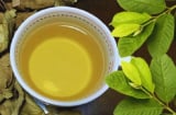 Uống nước lá ổi rất hại với 5 người này: Hãy tránh xa!