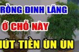 Cây Đinh Lăng trấn giữ của cải đừng trồng linh tinh: Trồng ở vị trí này giàu có 3 đời không biết quá phí