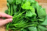 Loại “rau từng cho lợn ăn” biến thành siêu thực phẩm, Mỹ thu mua 1 triệu/kg