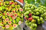 Loại quả mọc đầy vườn mọi người thường bỏ qua hóa ra là 'thần dược': 6 lợi ích lớn nếu ăn mỗi ngày